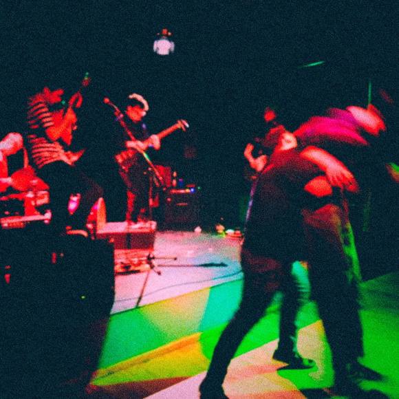 Meet your Posher, Emmett - Picture 1 of 1